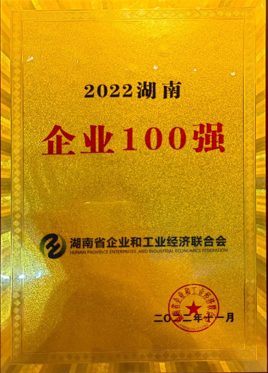 2022湖南企業(yè)100強(qiáng)